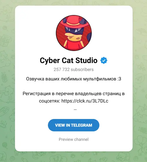 Cyber Cat Studio